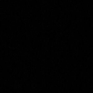 Meet your Posher, Damian